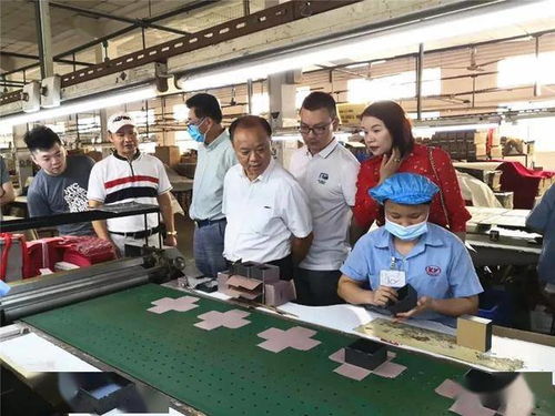 肇慶市僑聯(lián)深入僑青企業(yè)走訪調研